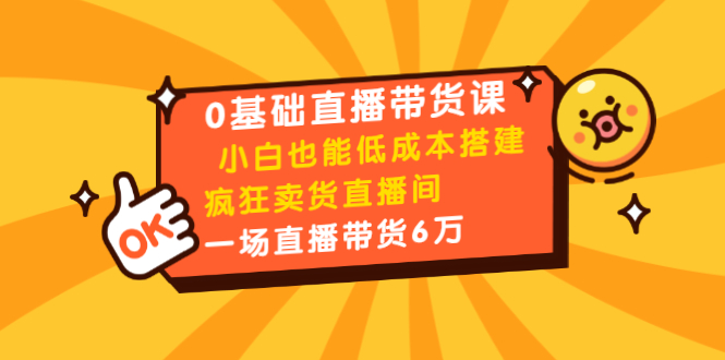 0基础直播带货课：小白也能低成本搭建疯狂卖货直播间：1场直播带货6万-赚钱驿站