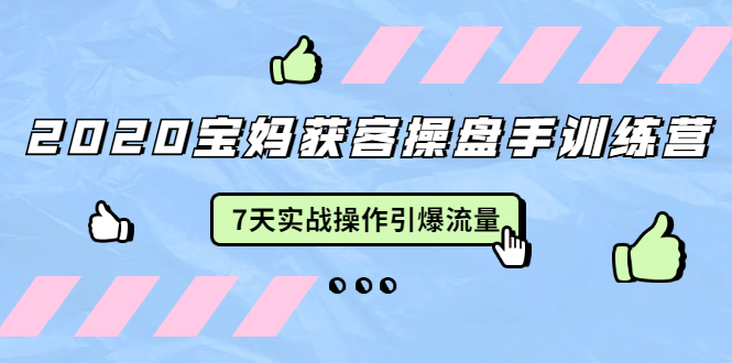 2020宝妈获客操盘手训练营：7天实战操作引爆 母婴、都市、购物宝妈流量-赚钱驿站