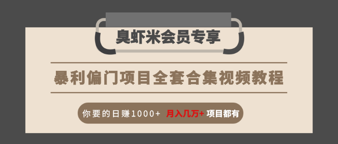 暴利偏门项目全套合集视频教程：你要的日赚1000+月入几万+项目都有-赚钱驿站