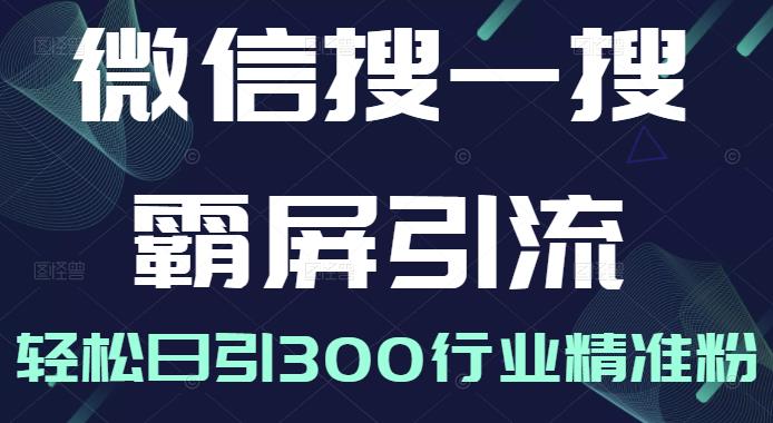 微信搜一搜霸屏引流课，打造被动精准引流系统，轻松日引300行业精准粉-赚钱驿站