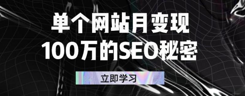 单个网站月变现100万的SEO秘密，百分百做出赚钱站点-赚钱驿站