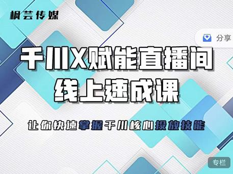 枫芸传媒-线上千川提升课，提升千川认知，提升千川投放效果-赚钱驿站