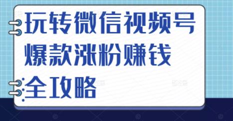 玩转微信视频号爆款涨粉赚钱全攻略，让你快速抓住流量风口，收获红利财富-赚钱驿站