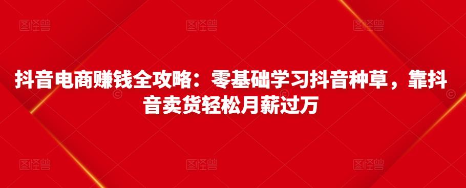 抖音电商赚钱全攻略：零基础学习抖音种草，靠抖音卖货轻松月薪过万-赚钱驿站