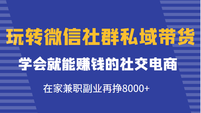 玩转微信社群私域带货，学会就能赚钱的社交电商，在家兼职副业再挣8000+-赚钱驿站