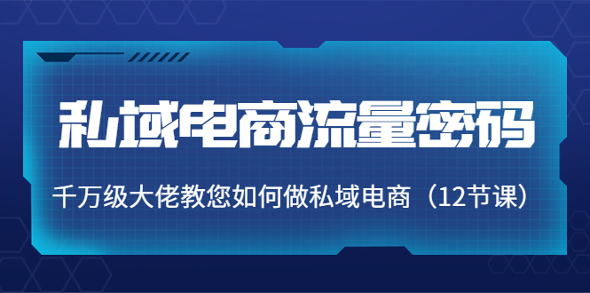 私域电商流量密码：千万级大佬教您如何做私域电商（12节课）-赚钱驿站