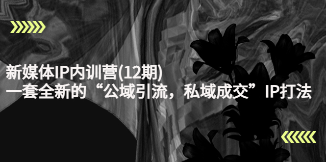 新媒体IP内训营(12期)，一套全新的“公域引流，私域成交”IP打法，直接带走-赚钱驿站