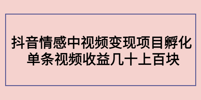副业孵化营第5期：抖音情感中视频变现项目孵化 单条视频收益几十上百-赚钱驿站