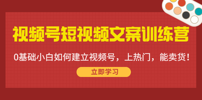 视频号短视频文案训练营：0基础小白如何建立视频号，上热门，能卖货！-赚钱驿站