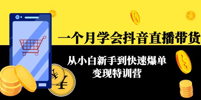 一个月学会抖音直播带货：从小白新手到快速爆单变现特训营(63节课)-赚钱驿站