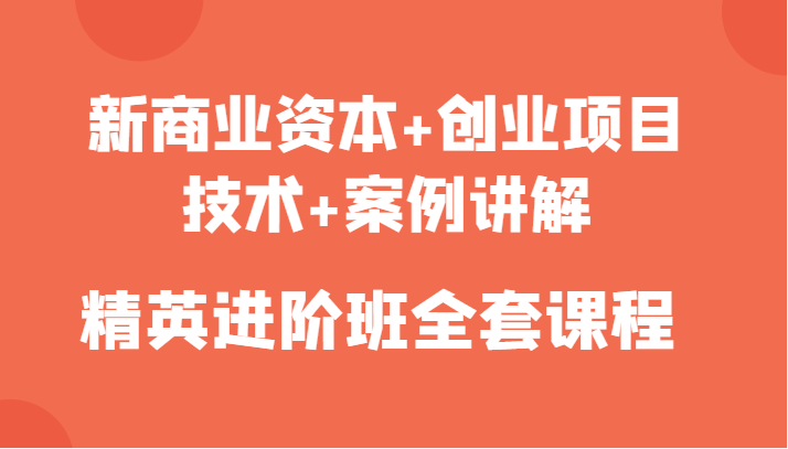 新商业资本+创业项目，技术+案例讲解，精英进阶班全套课程-赚钱驿站
