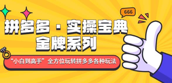 拼多多·实操宝典：金牌系列“小白到高手”带你全方位玩转拼多多各种玩法-赚钱驿站
