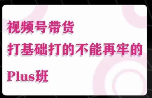 大播汇·视频号带货Puls班，视频号底层逻辑，起号自然流鱼塘等玩法-赚钱驿站