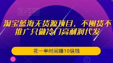 淘宝蓝海无货源项目，不囤货不推广只做冷门高利润代发，花一半时间赚10倍钱-赚钱驿站