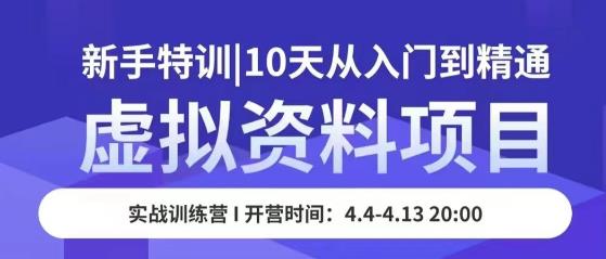 虚拟资料项目新手特训，10天从入门到精通，保姆级实操教学-赚钱驿站