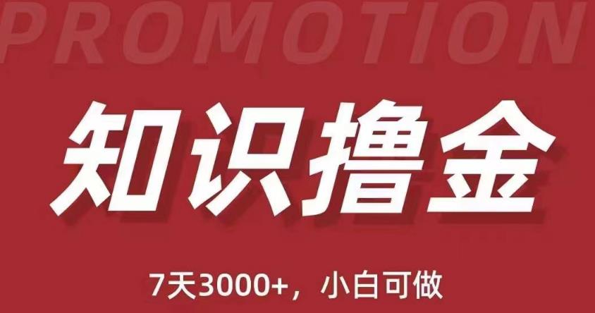 抖音知识撸金项目：简单粗暴日入1000+执行力强当天见收益(教程+资料)-赚钱驿站