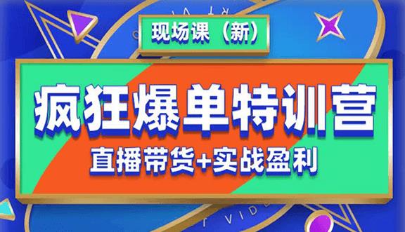 抖音短视频疯狂爆单特训营现场课（新）直播带货+实战案例-赚钱驿站