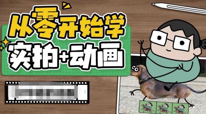 从零开始学实拍加动画，实拍加动画创意教程-赚钱驿站