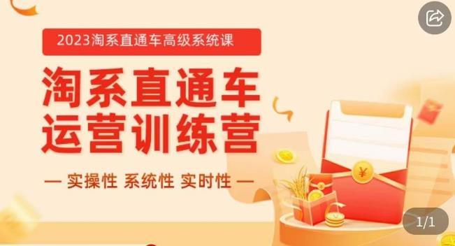 冠东·2023淘系直通车高级系统课，​实操性，系统性，实时性，直通车完整体系教学-赚钱驿站