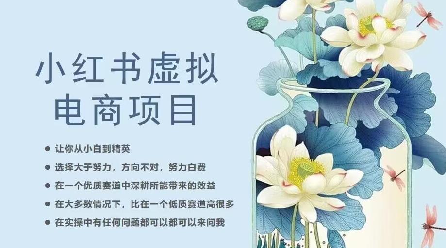 小红书虚拟电商从0到1，让你从小白到精英（20节实操课程）-赚钱驿站