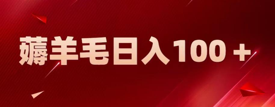 新平台零撸薅羊毛，一天躺赚100＋，无脑复制粘贴【揭秘】-赚钱驿站