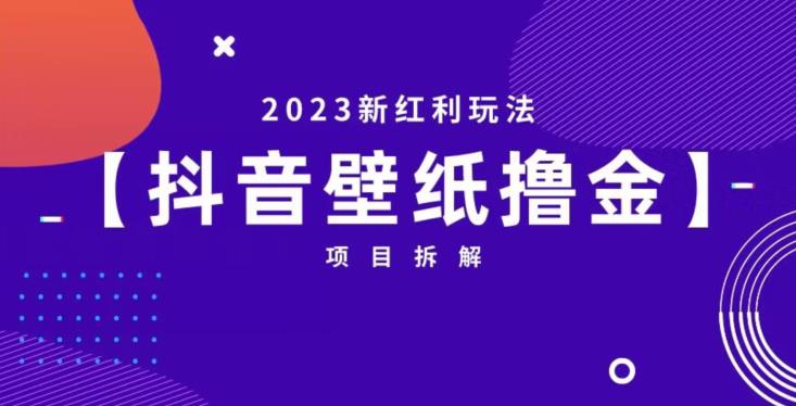 抖音壁纸小程序创作者撸金项目，2023新红利玩法【项目拆解】-赚钱驿站