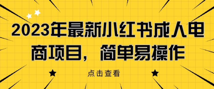 2023年最新小红书成人电商项目，简单易操作【详细教程】【揭秘】-赚钱驿站