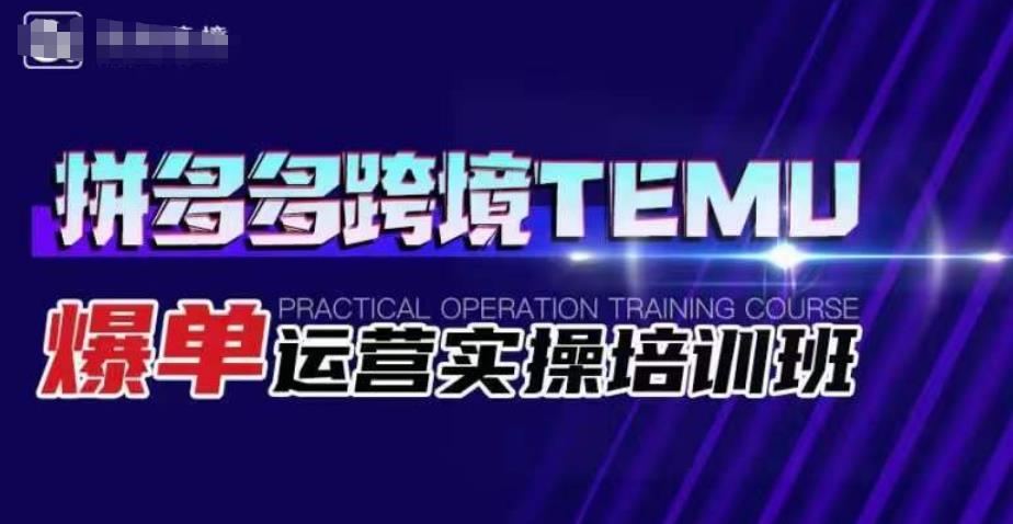 拼多多跨境TEMU爆单运营实操培训班，海外拼多多的选品、运营、爆单-赚钱驿站