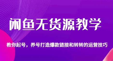 闲鱼无货源教学，教你起号，养号打造爆款链接以及转转的运营技巧-赚钱驿站