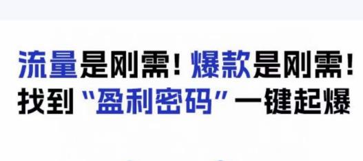 电商盈利精品课：6大盈利密码让产品更好卖，流量是刚需！爆款是刚需！找到”盈利密码”一键起爆-赚钱驿站