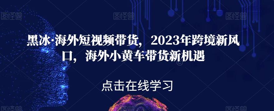 黑冰·海外短视频带货，2023年跨境新风口，海外小黄车带货新机遇-赚钱驿站