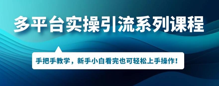 多平台引流实操系列课程，新手小白看完也可轻松上手进行引流操作-赚钱驿站