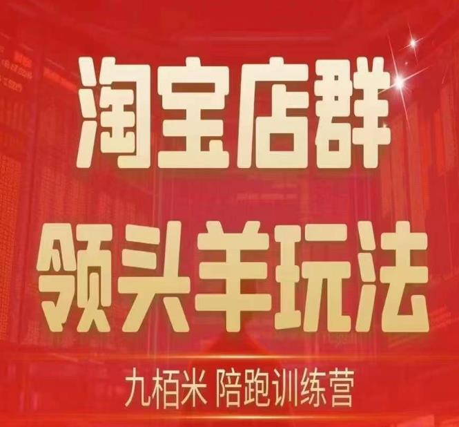 九栢米-淘宝店群领头羊玩法，教你整个淘宝店群领头羊玩法以及精细化/终极蓝海/尾销等内容-赚钱驿站