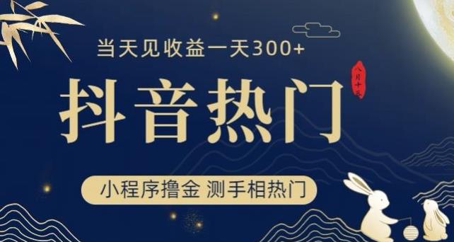 抖音最新小程序撸金，测手相上热门，当天见收益一小时变现300+【揭秘】-赚钱驿站