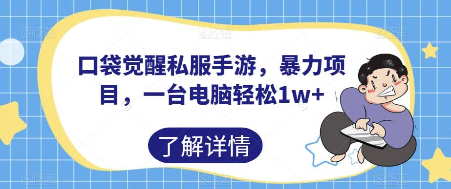 口袋觉醒私服手游，暴力项目，一台电脑轻松1w+【揭秘】-赚钱驿站