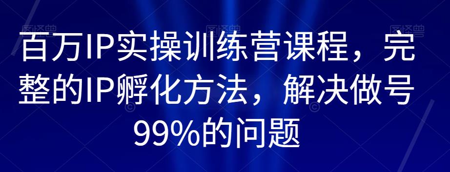 百万IP实操训练营课程，完整的IP孵化方法，解决做号99%的问题-赚钱驿站
