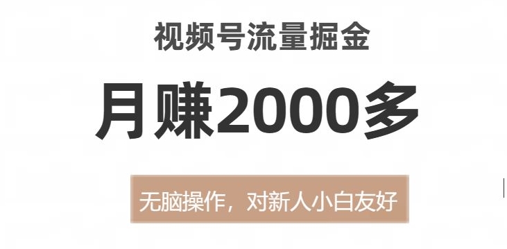 视频号流量掘金，无脑操作，对新人小白友好，月赚2000多【揭秘】-赚钱驿站