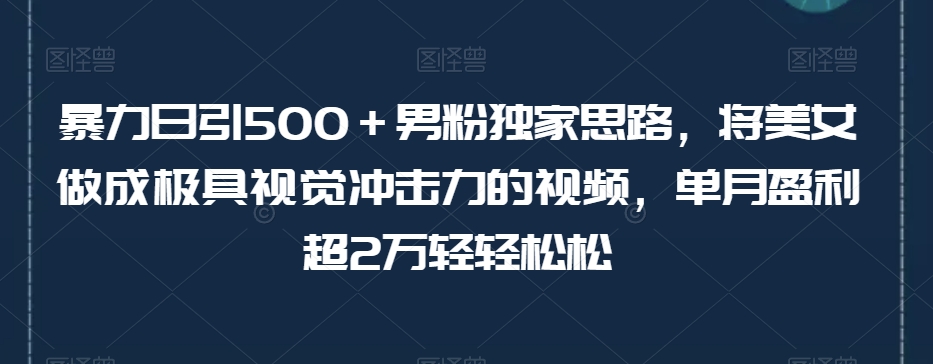 暴力日引500＋男粉独家思路，将美女做成极具视觉冲击力的视频，单月盈利超2万轻轻松松-赚钱驿站