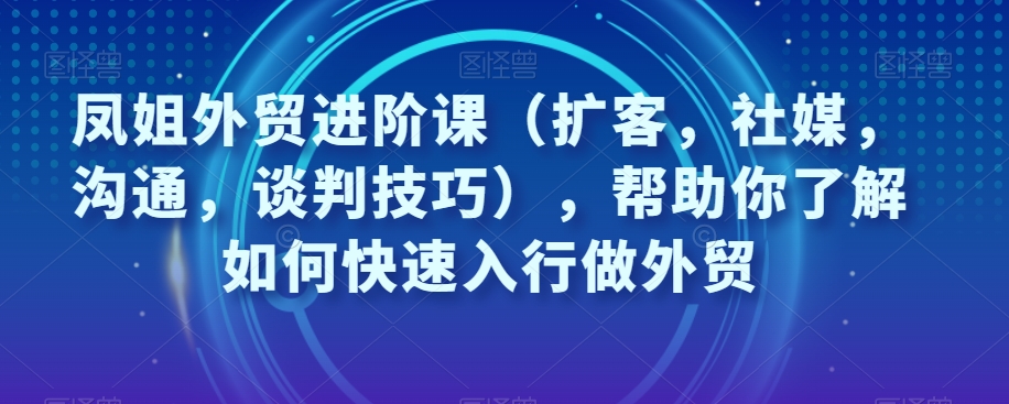 凤姐外贸进阶课（扩客，社媒，沟通，谈判技巧），帮助你了解如何快速入行做外贸-赚钱驿站