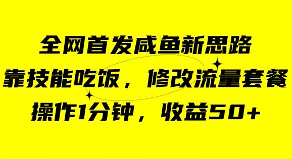 咸鱼冷门新玩法，靠“技能吃饭”，修改流量套餐，操作1分钟，收益50【揭秘】-赚钱驿站