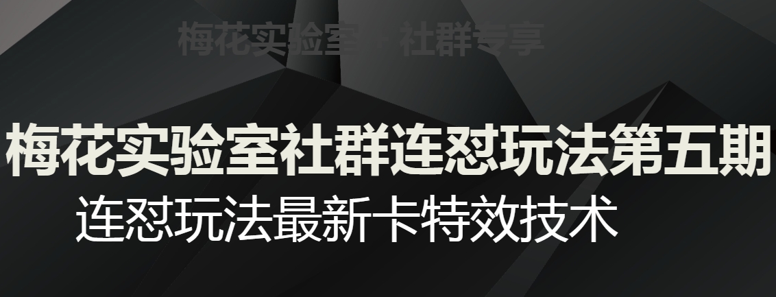 梅花实验室社群连怼玩法第五期，视频号连怼玩法最新卡特效技术-赚钱驿站
