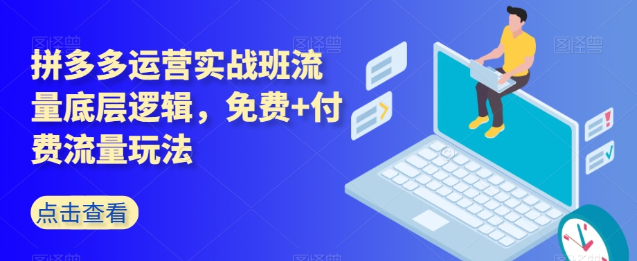 拼多多运营实战班流量底层逻辑，免费+付费流量玩法-赚钱驿站