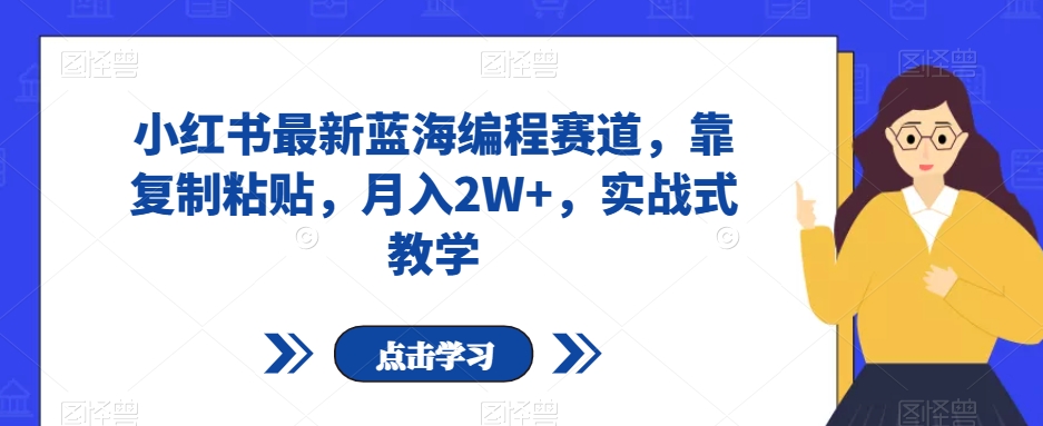 小红书最新蓝海编程赛道，靠复制粘贴，月入2W+，实战式教学【揭秘】-赚钱驿站