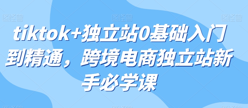 tiktok+独立站0基础入门到精通，跨境电商独立站新手必学课-赚钱驿站