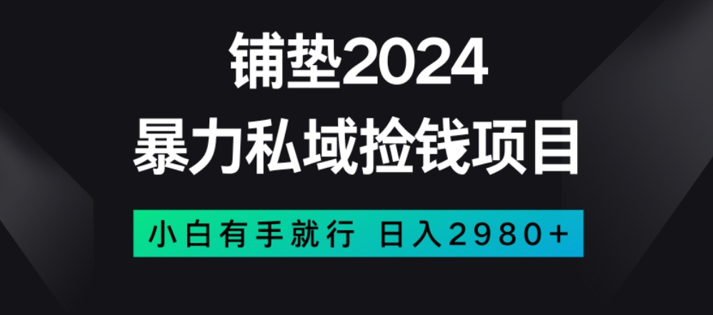 暴力私域捡钱项目，小白无脑操作，日入2980【揭秘】-赚钱驿站