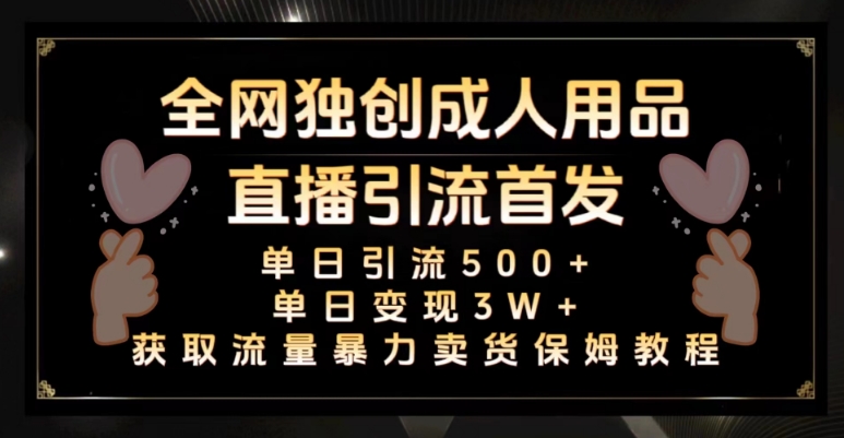 全网独创真人主播+无人直播单日引流500+，橙人用品暴力卖货单日变现3W+保姆似教学2.0【揭秘】-赚钱驿站