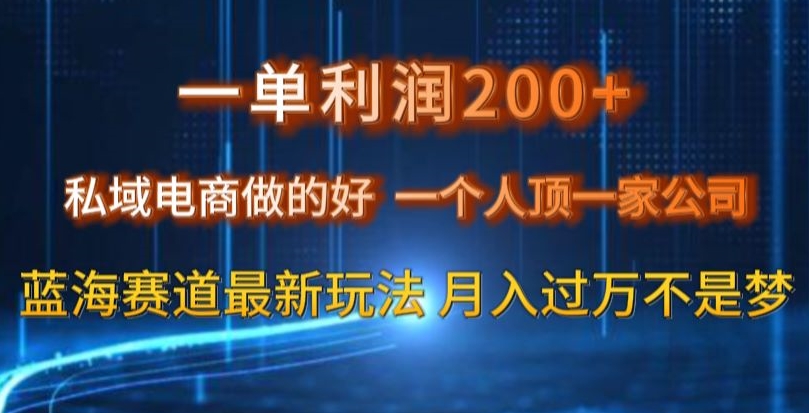 一单利润200私域电商做的好，一个人顶一家公司蓝海赛道最新玩法【揭秘】-赚钱驿站