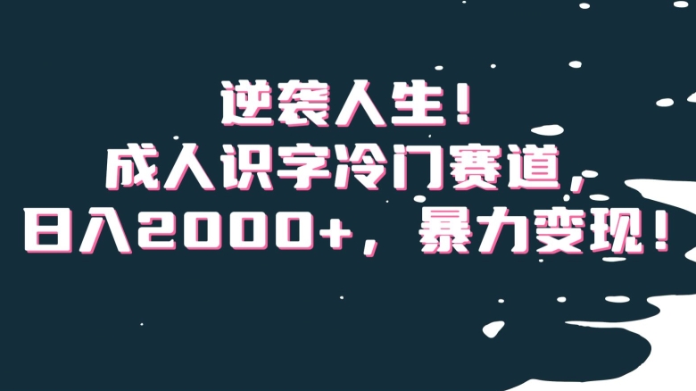 逆袭人生！成人识字冷门赛道，日入2000+，暴力变现！【揭秘】-赚钱驿站
