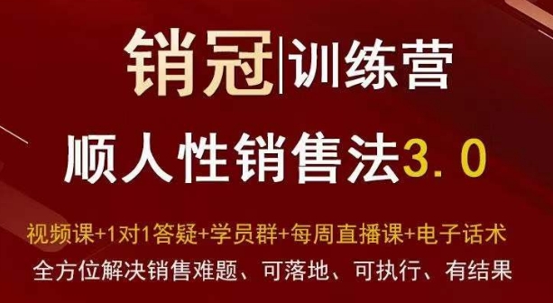 爆款！销冠训练营3.0之顺人性销售法，全方位解决销售难题、可落地、可执行、有结果-赚钱驿站