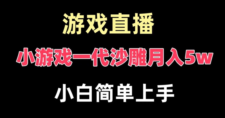 玩小游戏一代沙雕月入5w，爆裂变现，快速拿结果，高级保姆式教学【揭秘】-赚钱驿站